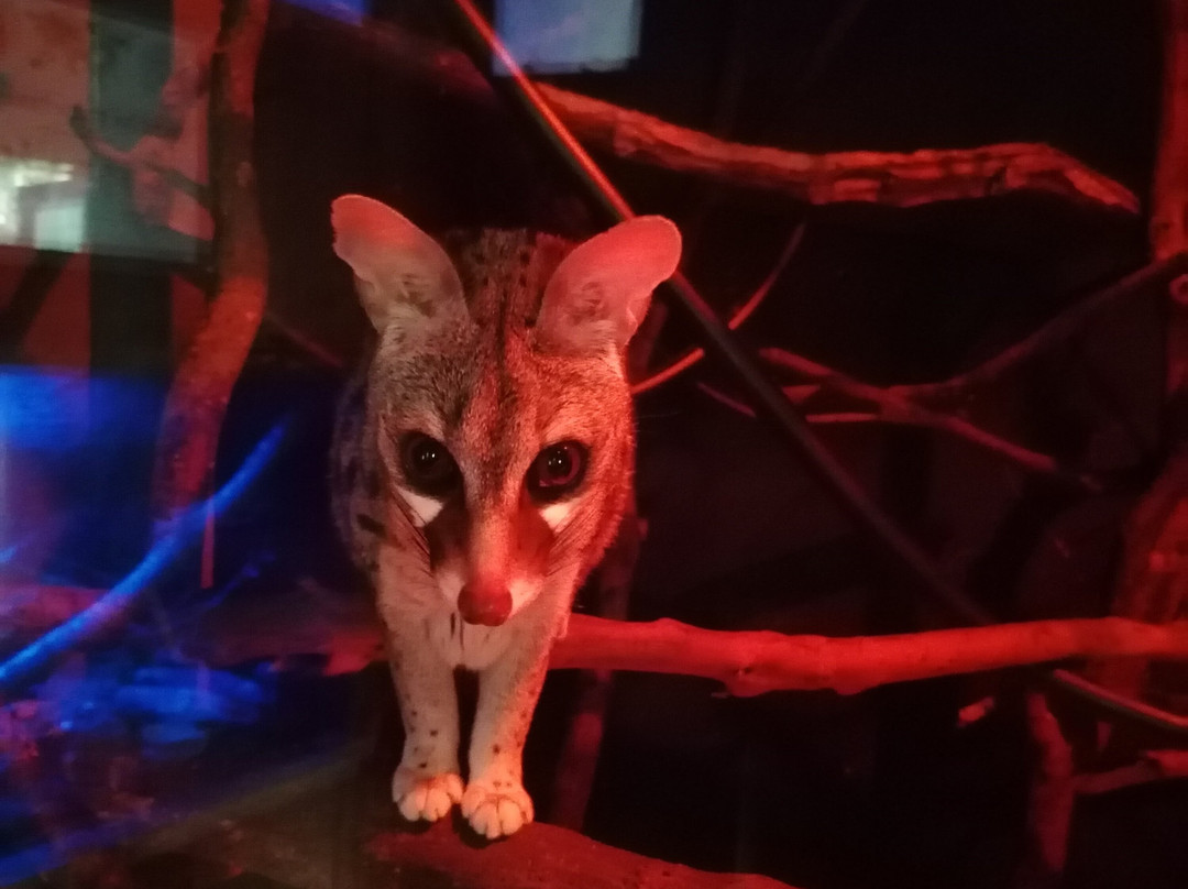 Tropiquaria Zoo-Washford必去景点