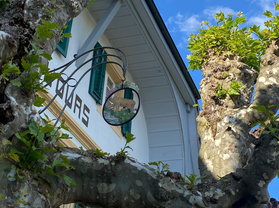 Romantik Hotel de L'Ours主图