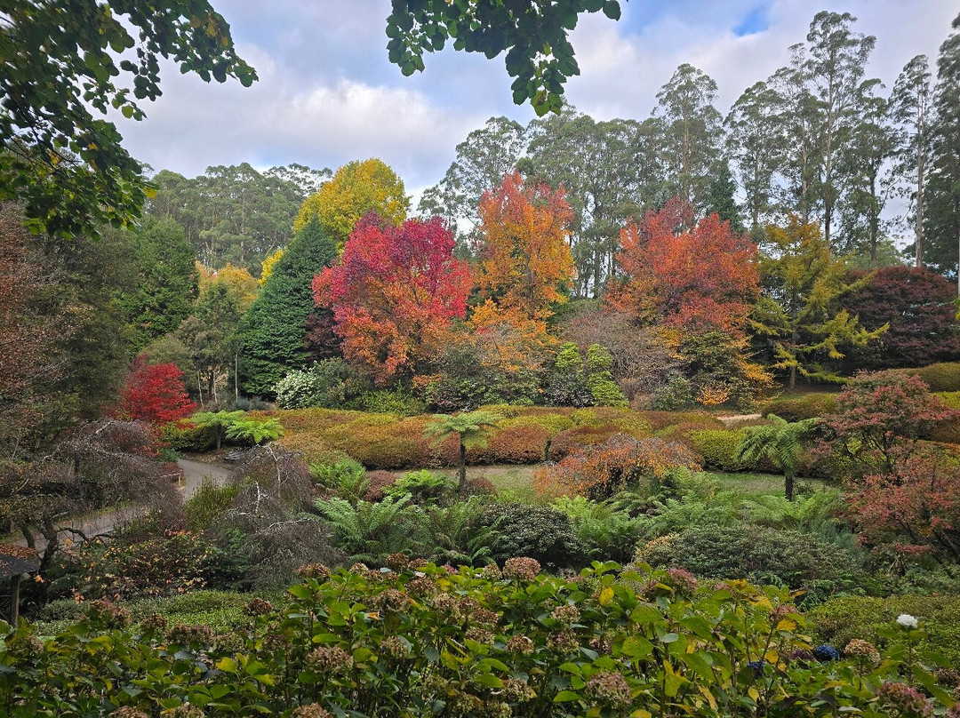 Dandenong Ranges Botanic Garden-奥林达必去景点