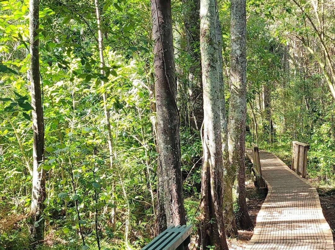 Smiths Bush Reserve景点图片