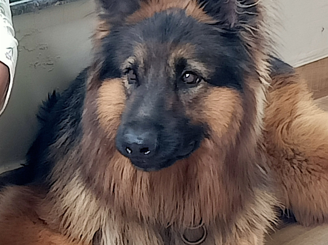 Kumbhal Exotica Resort Kumbhalgarh主图