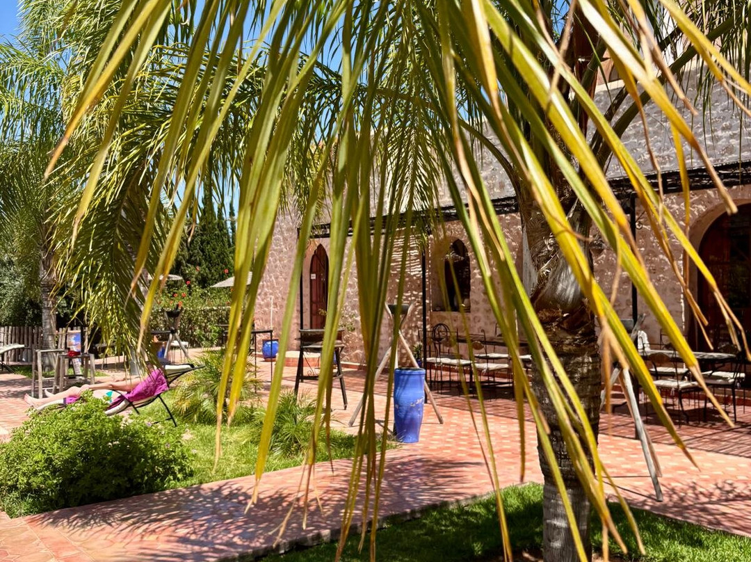 Riad Titima Essaouira主图