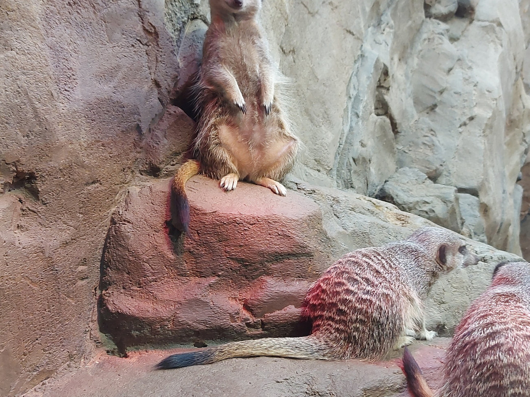 St Andrews Aquarium-圣安德鲁斯必去景点