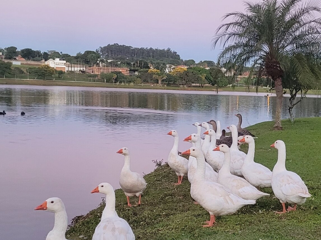 Parque Lago Municipal Recanto das Araras景点图片