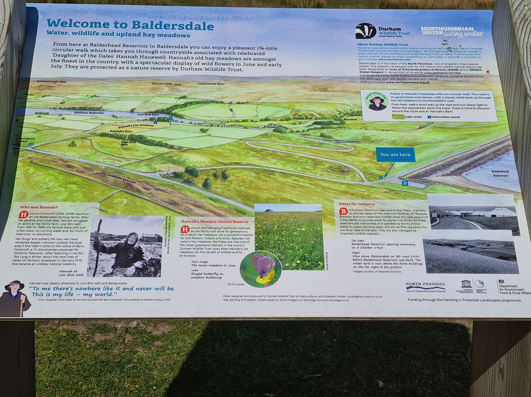 Hannah's Meadow