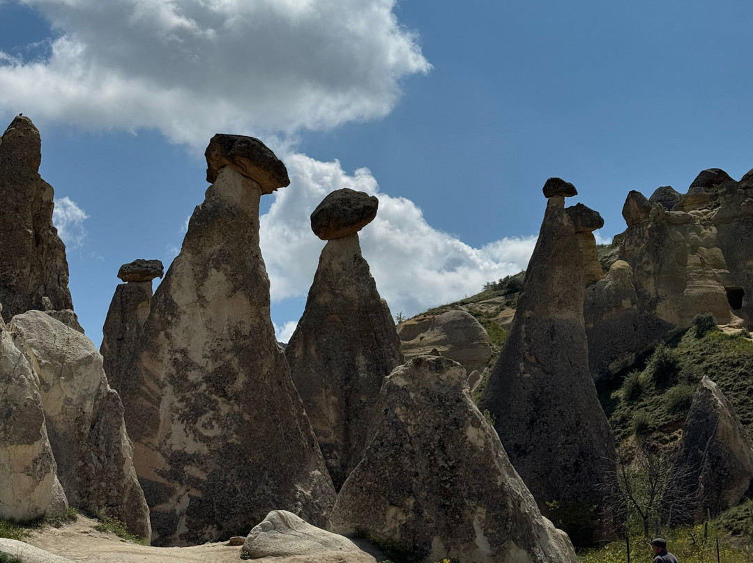 Masya Anatolia Tours-安塔利亚必去景点