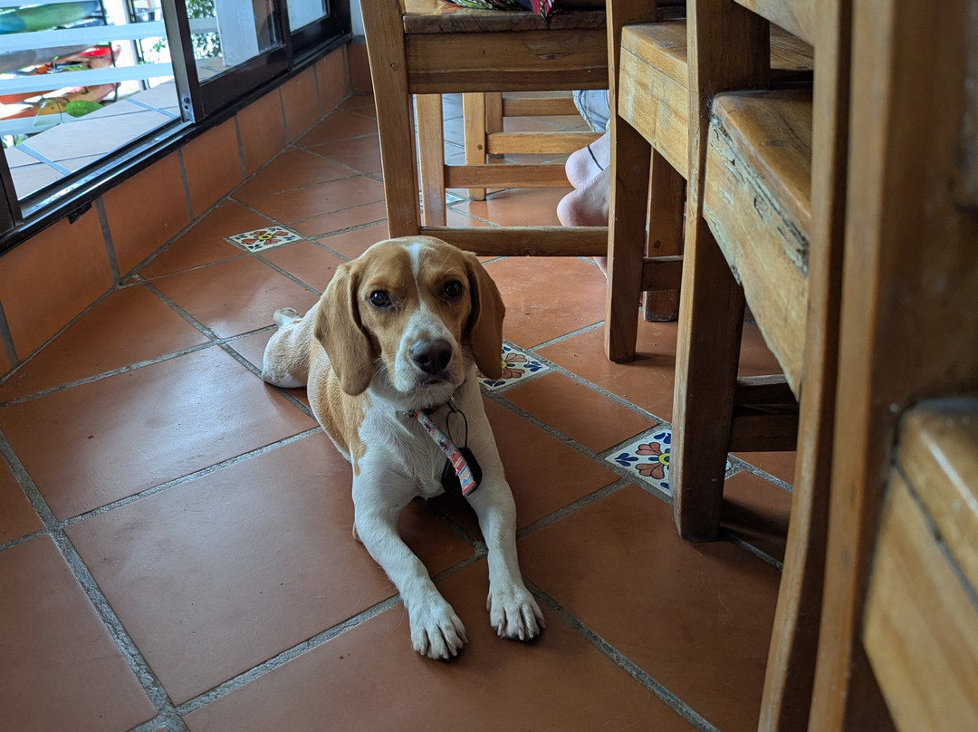 ADR Adventure Park-哥斯达黎加安东尼奥国家公园必去景点