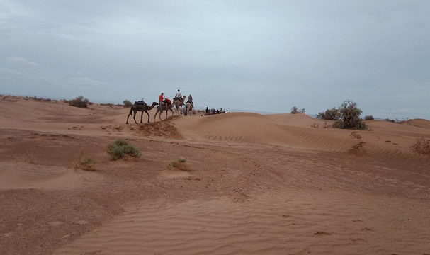 Agadir Excursion-阿加迪尔必去景点