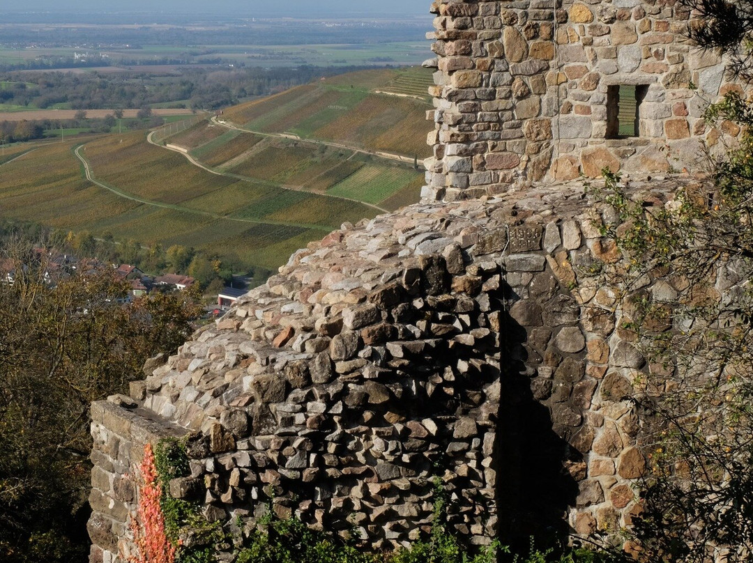 Burg Badenweiler景点图片