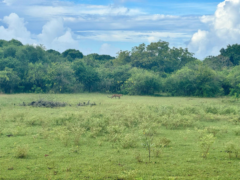 Travelnlanka-科伦坡必去景点
