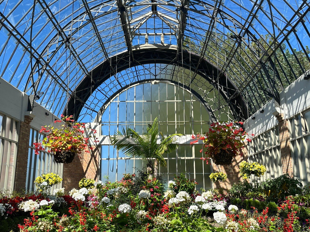 Winter Garden Auckland Domain-奥克兰中心地区必去景点