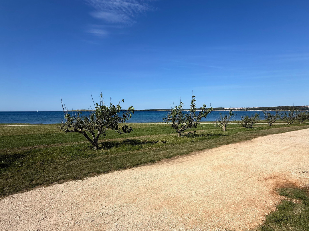 Arena Grand Kazela Camping Homes