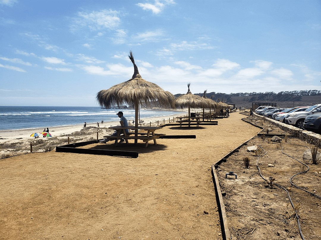 Playa Chigualoco-Los Vilos必去景点