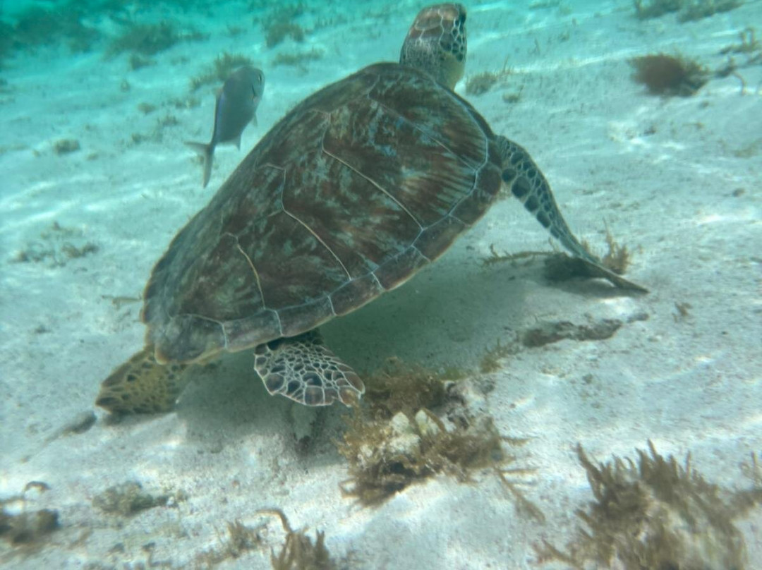 Sademar-Saint Francois必去景点