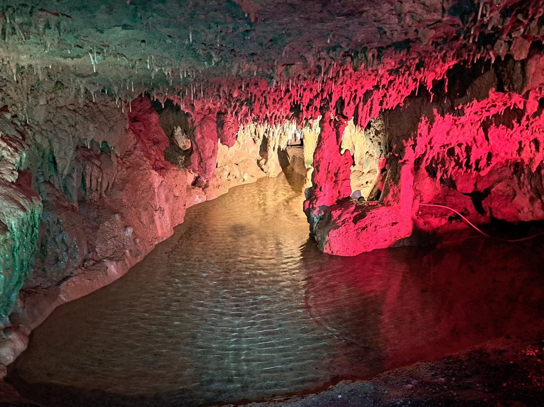 Woodward Cave and Campground景点图片