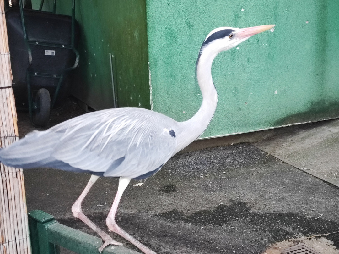Zoo Zagreb-萨格勒布必去景点