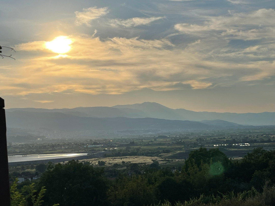 Estate Kalaitzis主图