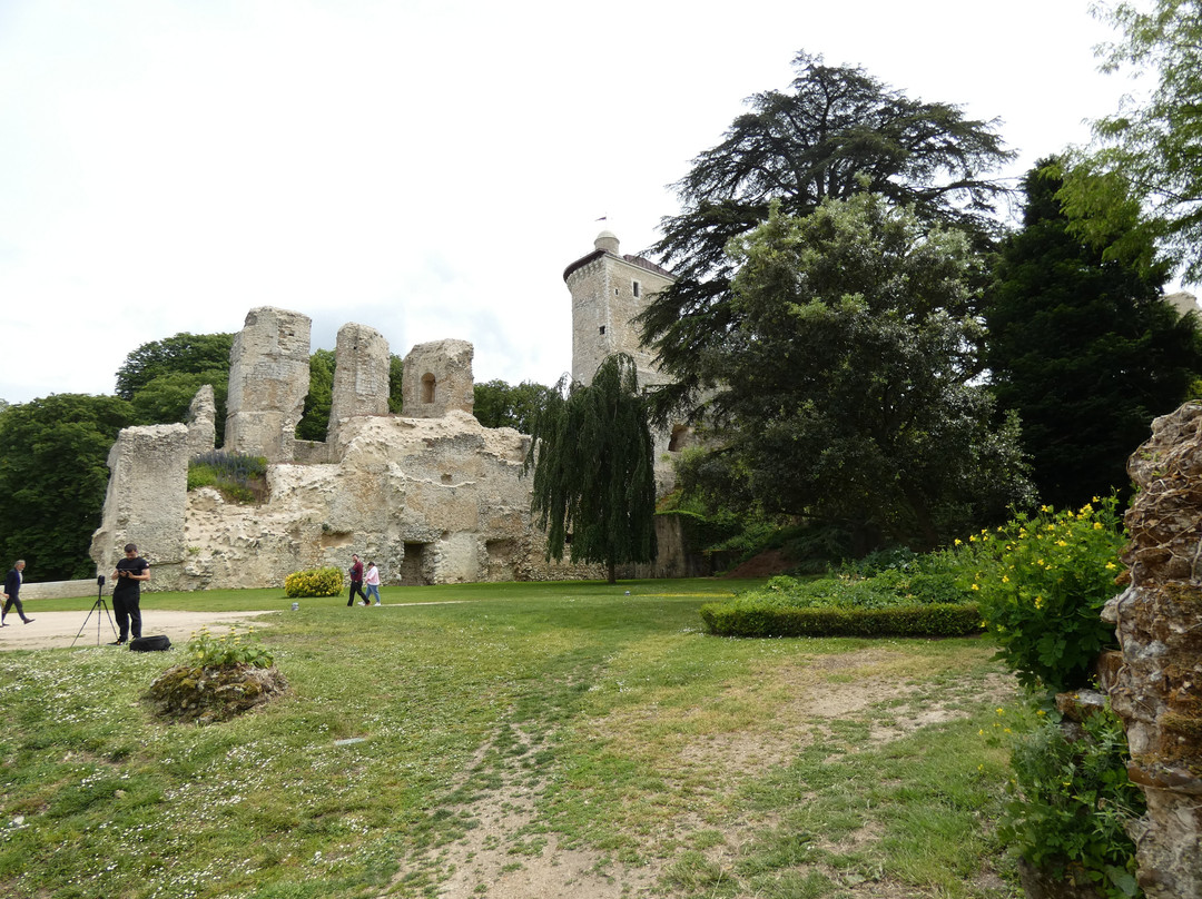 Château de Vendôme景点图片