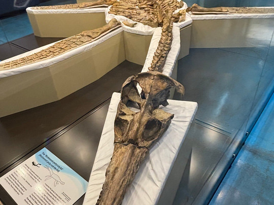 Kronosaurus Korner-Richmond必去景点