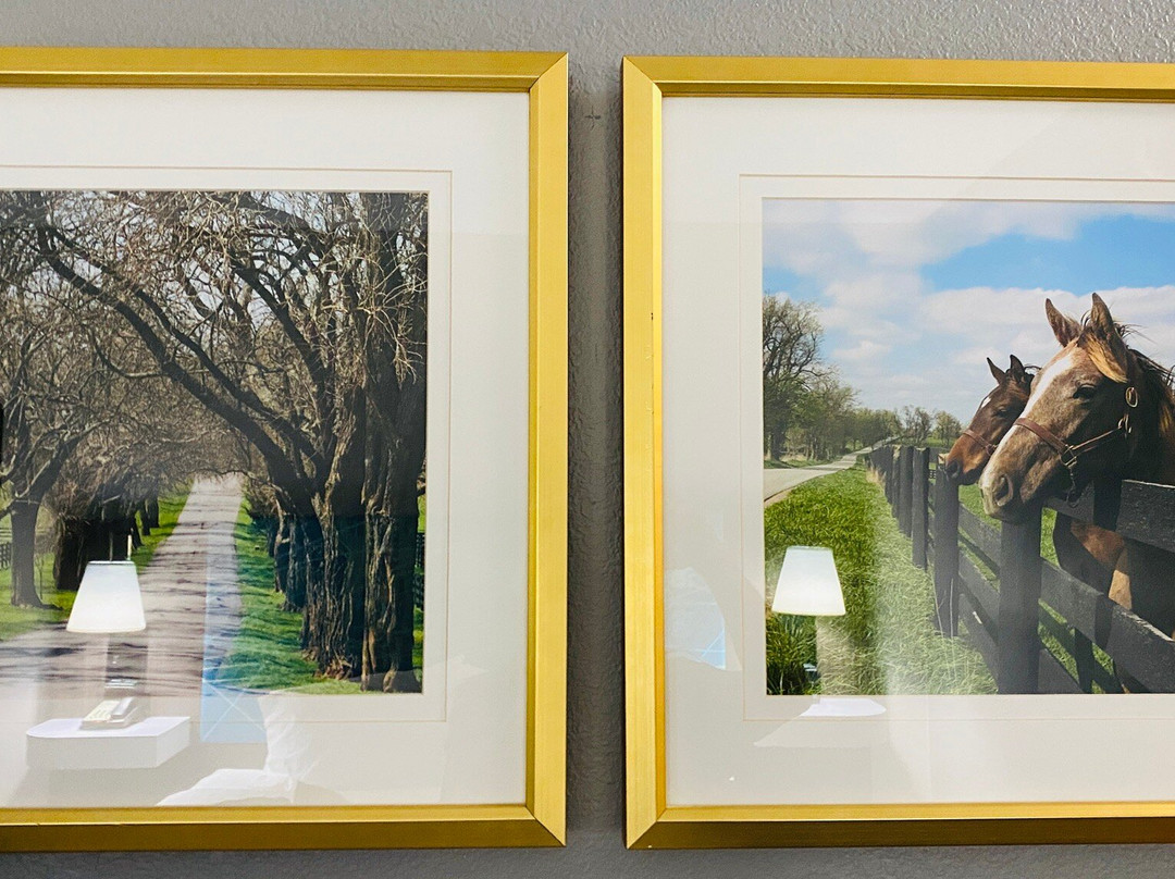 Hampton Inn Richmond主图