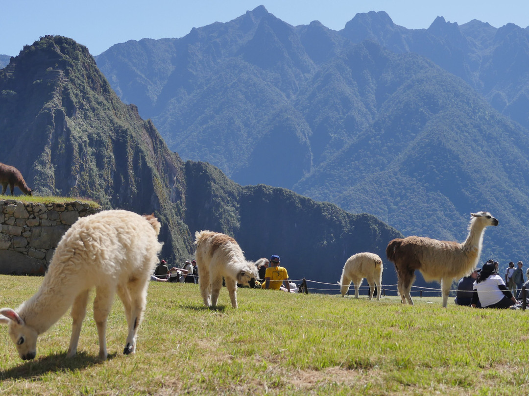 Inca Trail Camping-Curahuasi必去景点