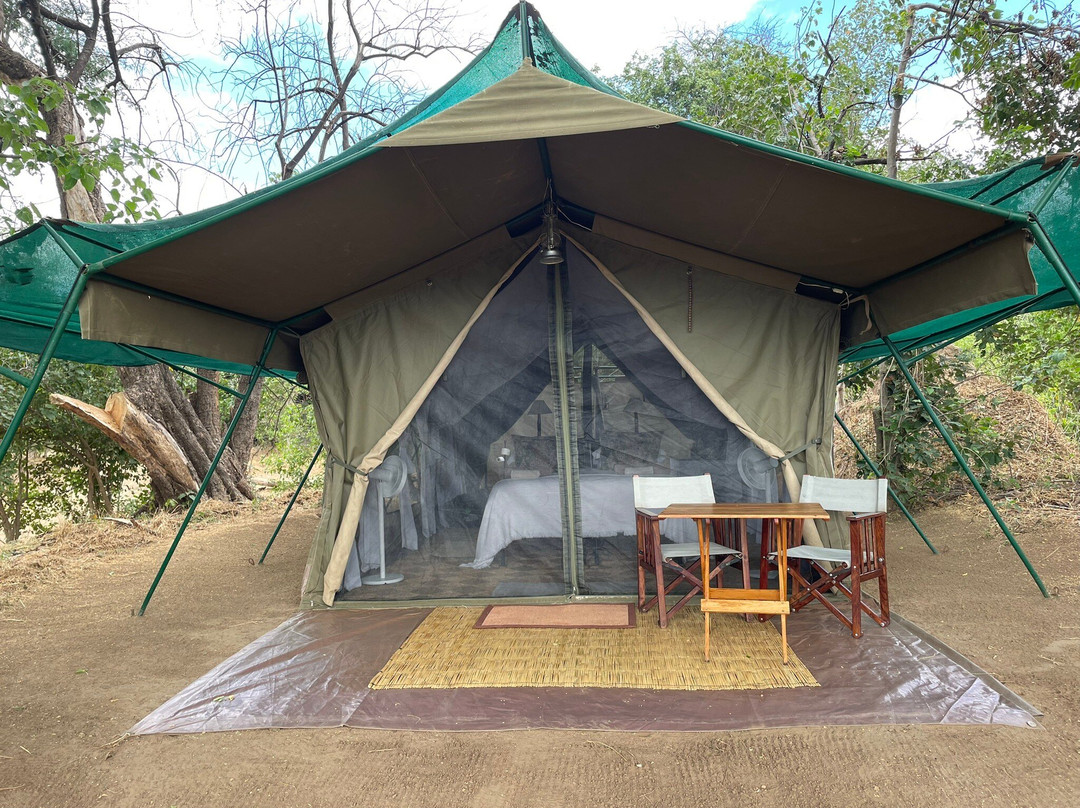 John's Camp - Robin Pope Safaris主图