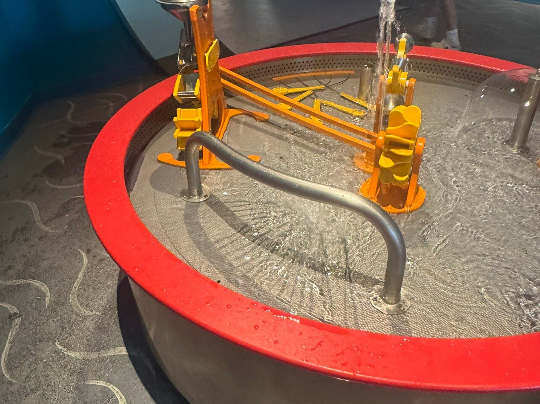 Clay Center-查尔斯顿必去景点