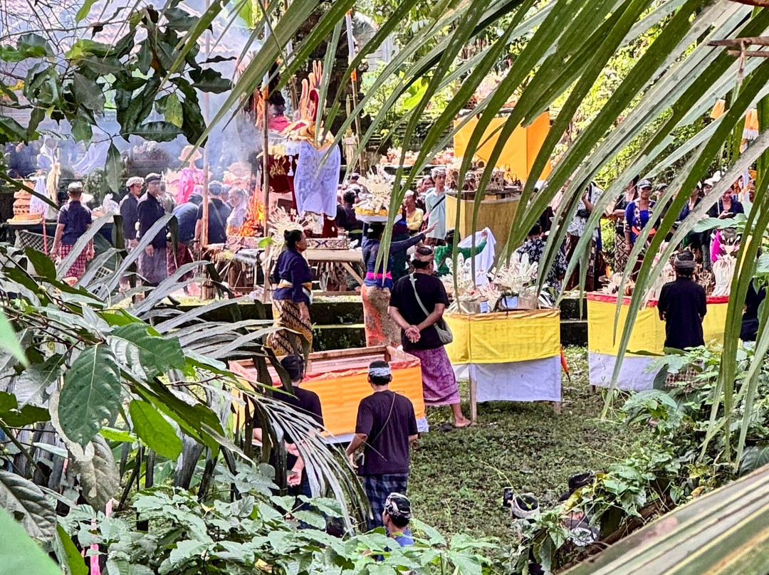 科里乌布度假村主图