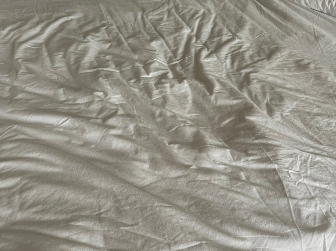 Baymont by Wyndham Chelsea主图