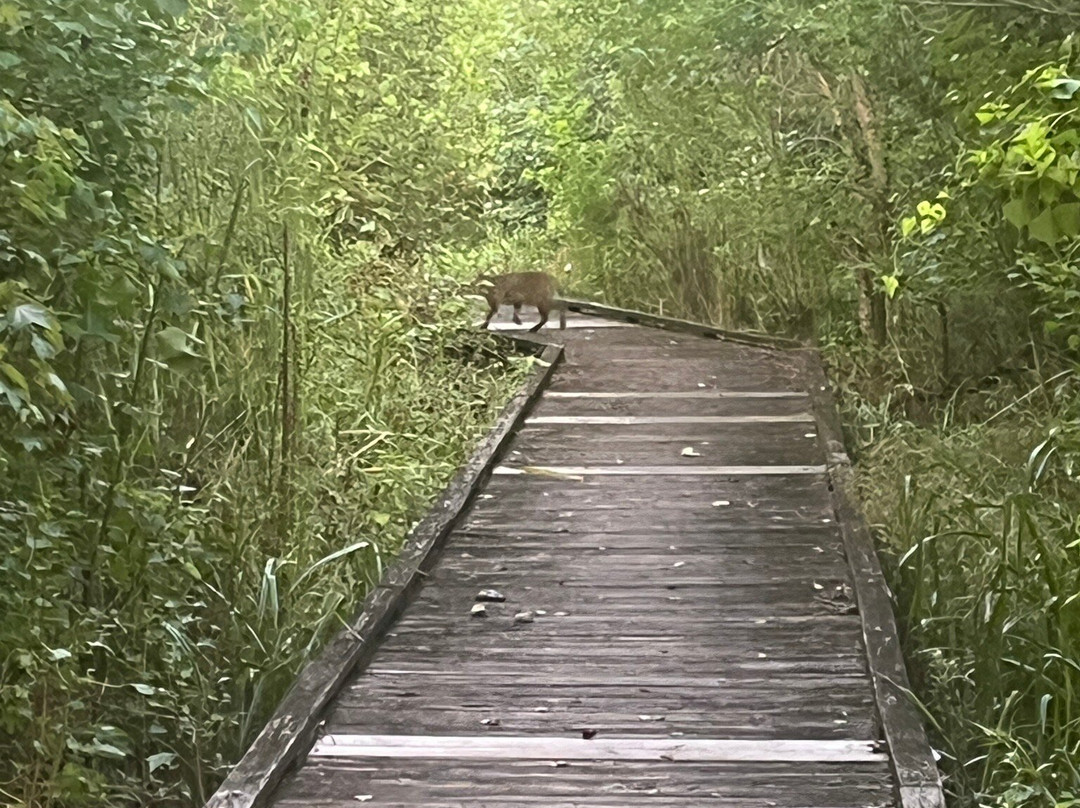 Bayou Segnette State Park-Westwego必去景点