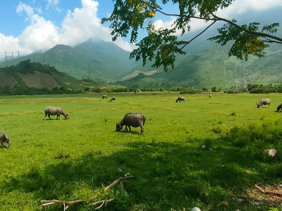 Vietnam Motorbike Tours - Bao Easyrider-岘港必去景点