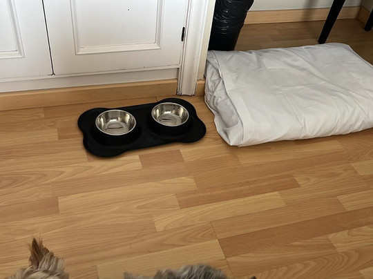 Hotel Santiago Apostol主图