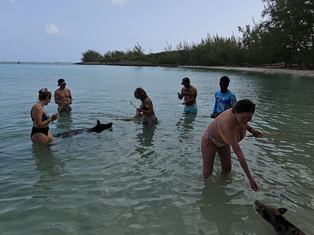 Spanish Wells Fishing-Spanish Wells必去景点