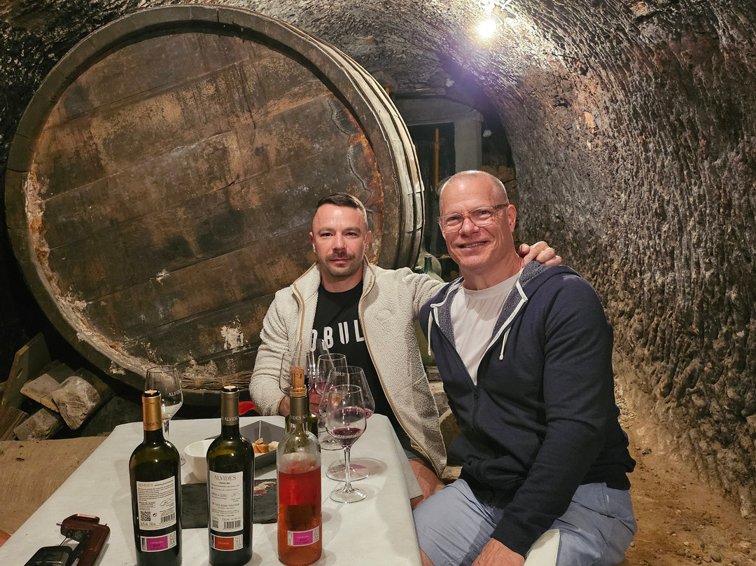 Wine Tours From Madrid-马德里必去景点