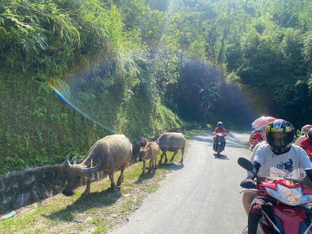 Infinity Ha Giang Loop-Ha Giang必去景点