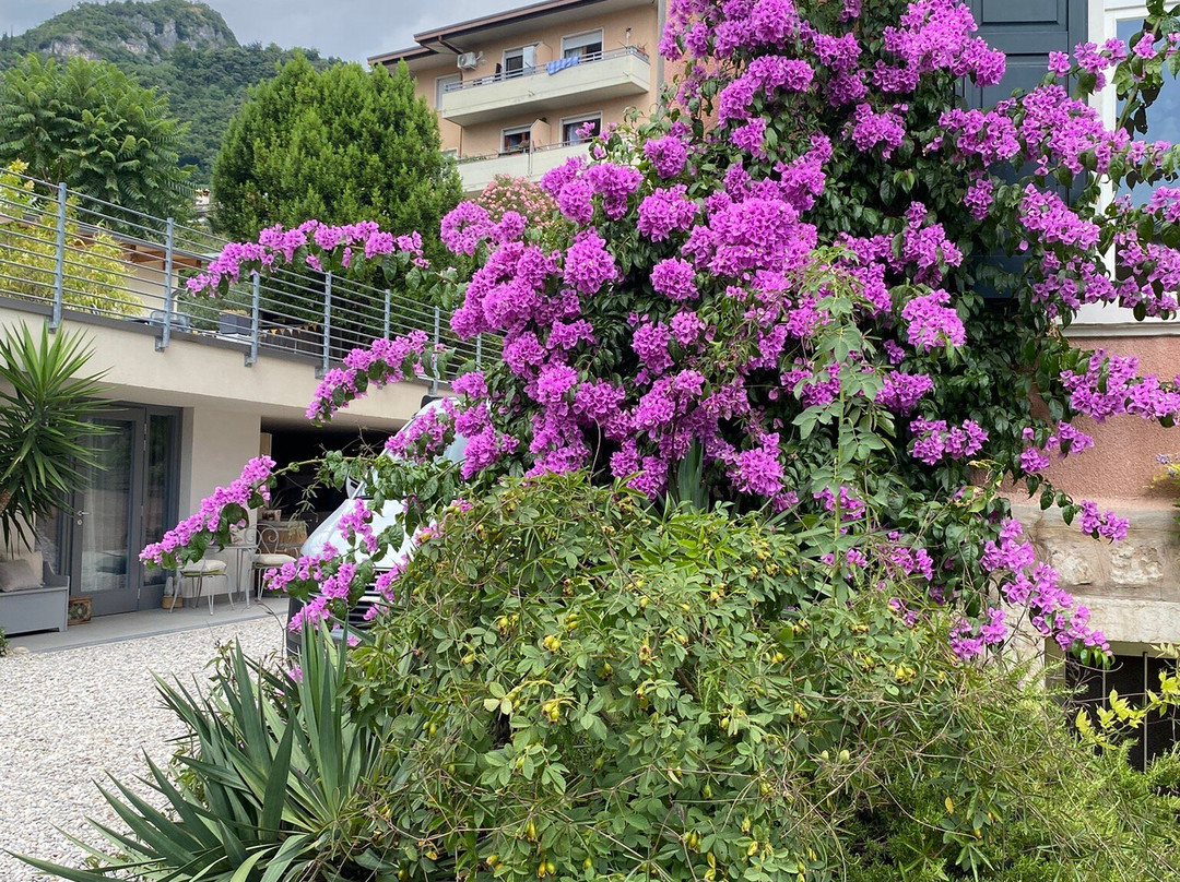 Albergo Garni Villa Moretti主图