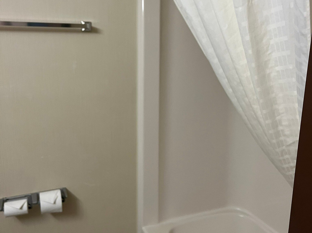 Best Western Park Hotel主图