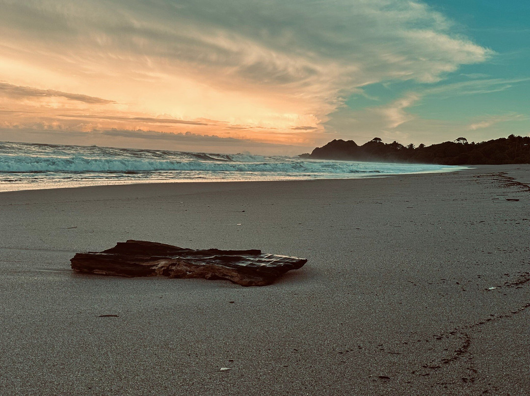 The Gilded Iguana Surf Club-Playa Guiones必去景点