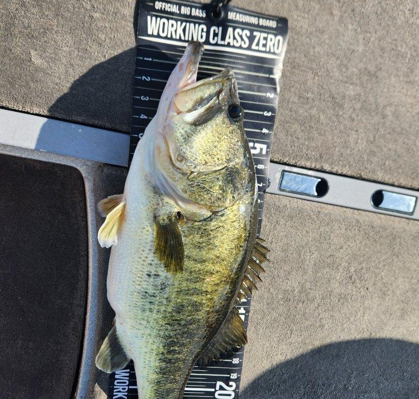 Okeechobee Bass Guide Service-奥基乔比必去景点