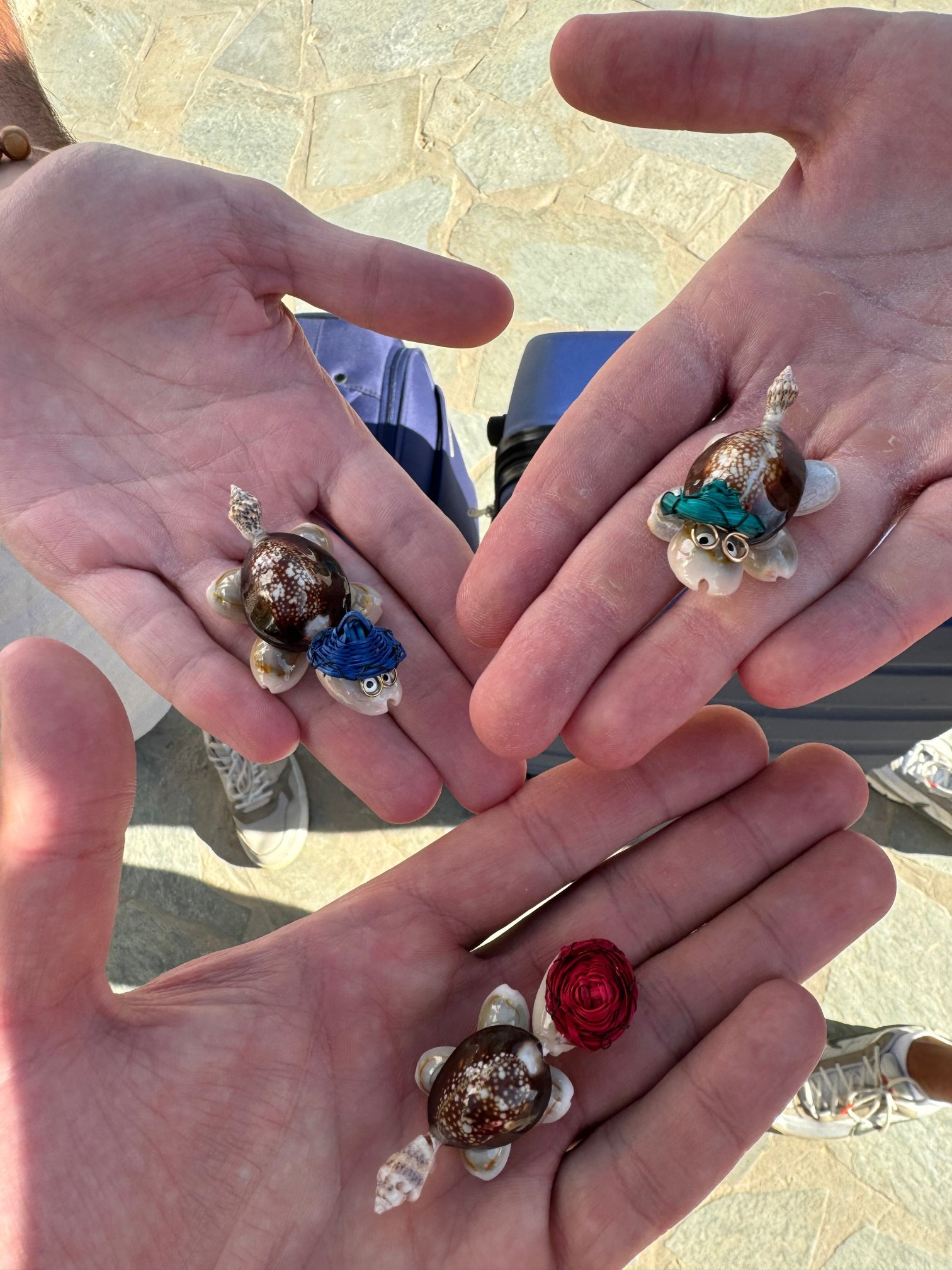 Studios Sofia-官方