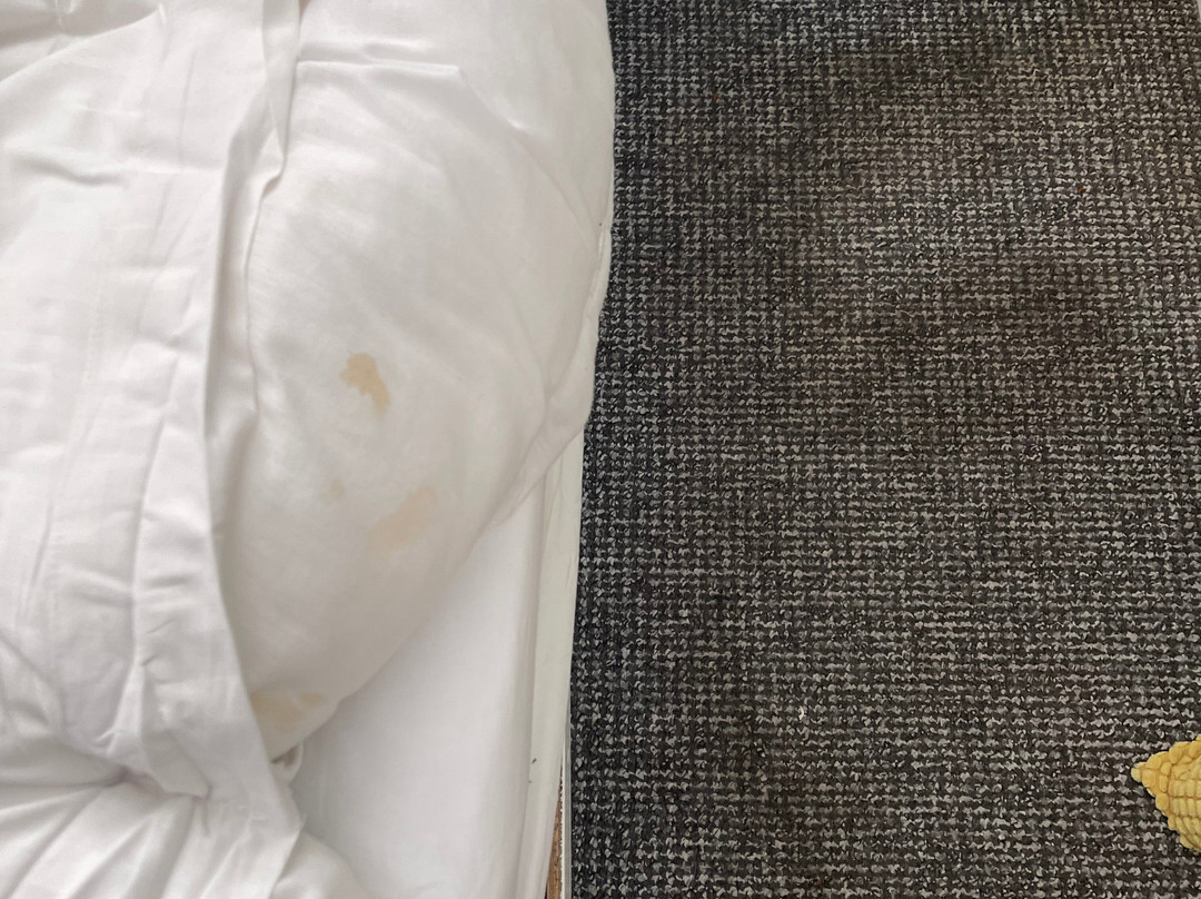 The Chedburgh Hotel主图