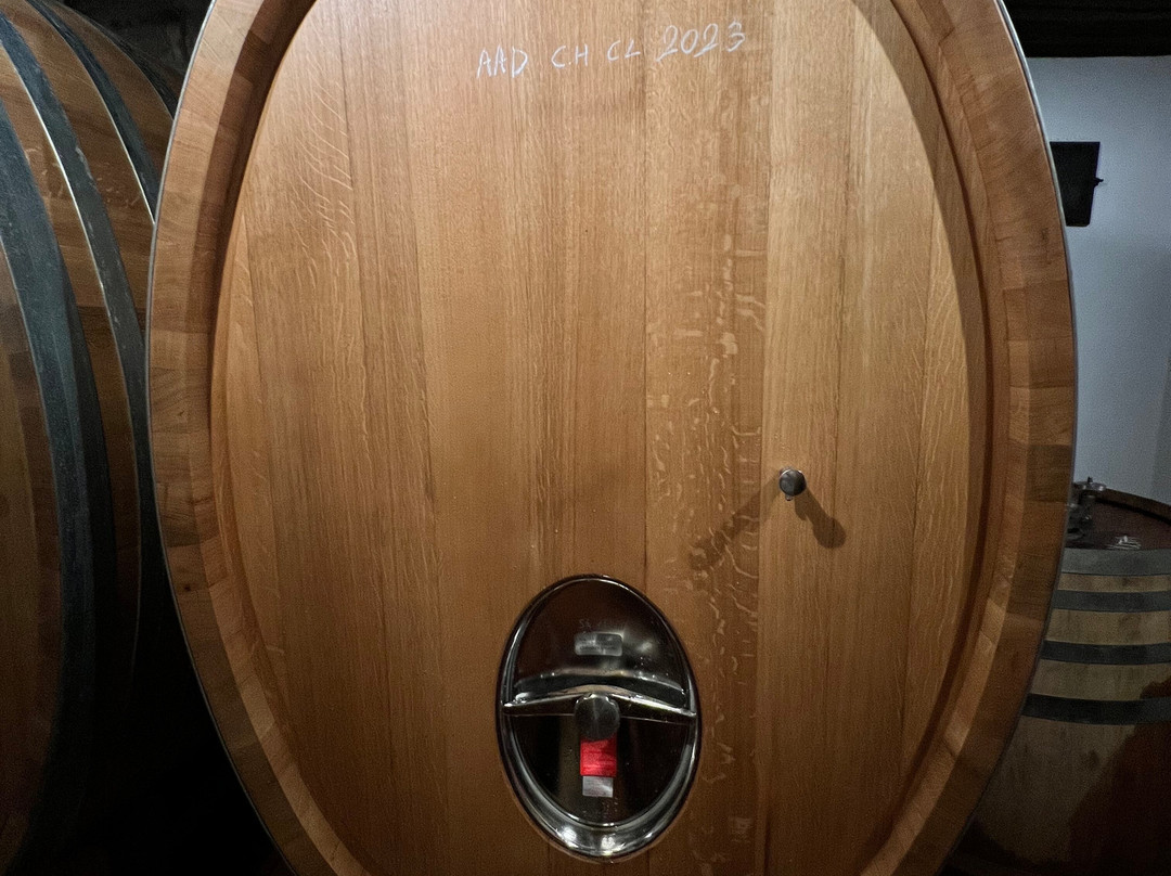 Renzo Marinai Chianti Farm And Vineyards-Panzano in Chianti必去景点