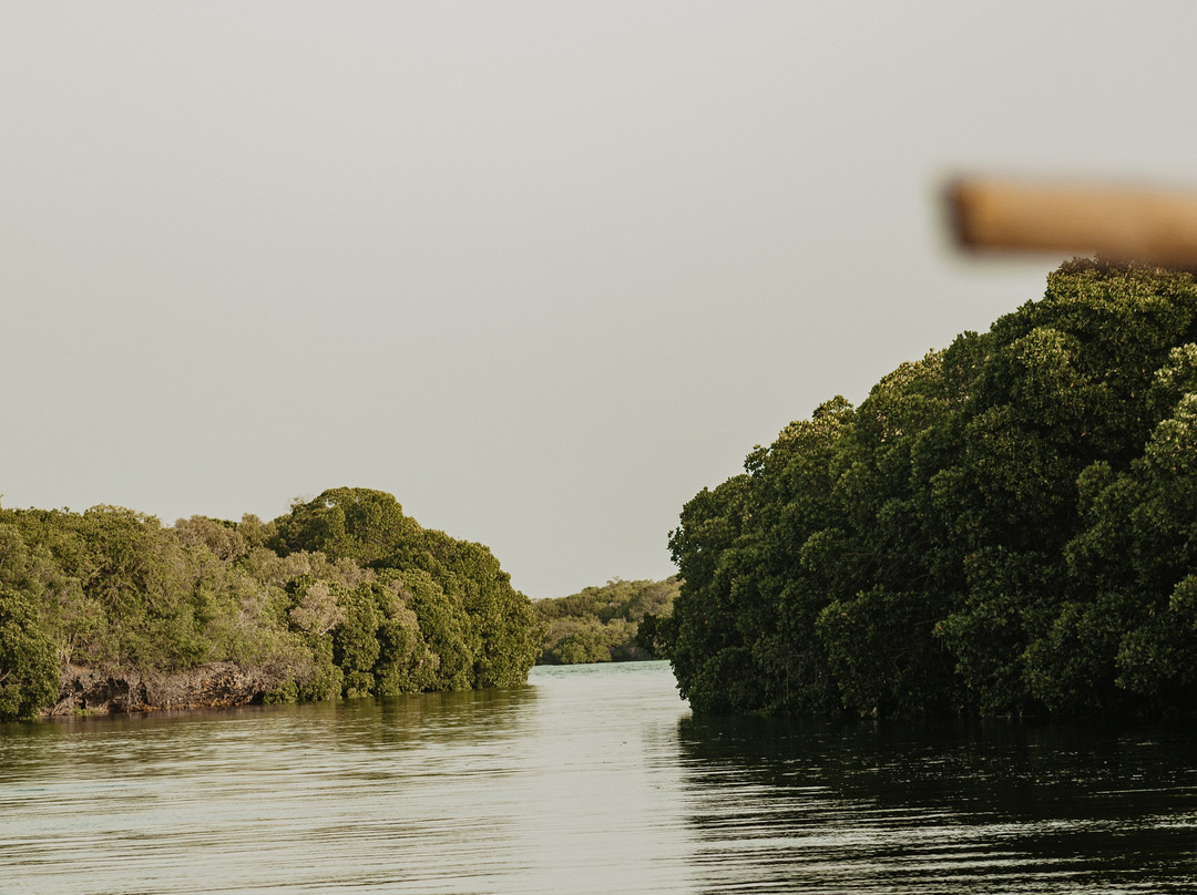 Safari Shwari Mafia Island-Utende必去景点