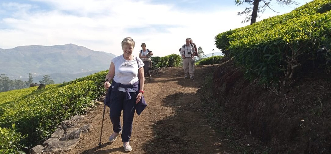 South India Voyages-柯钦必去景点