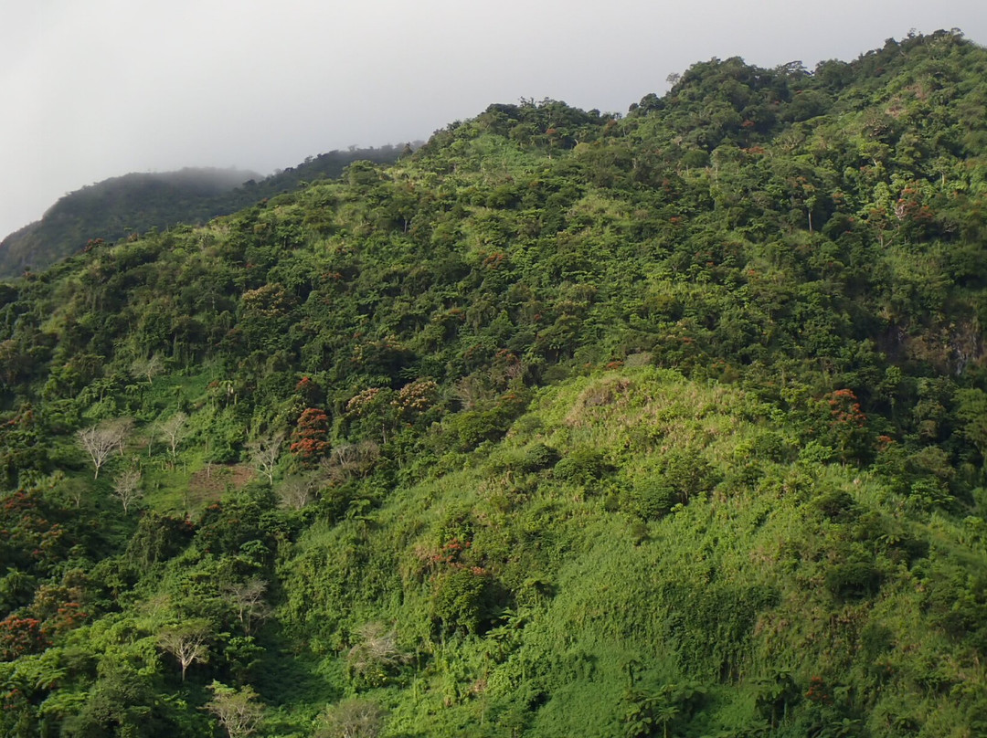 Savulelele Waterfalls-拉奇拉奇必去景点