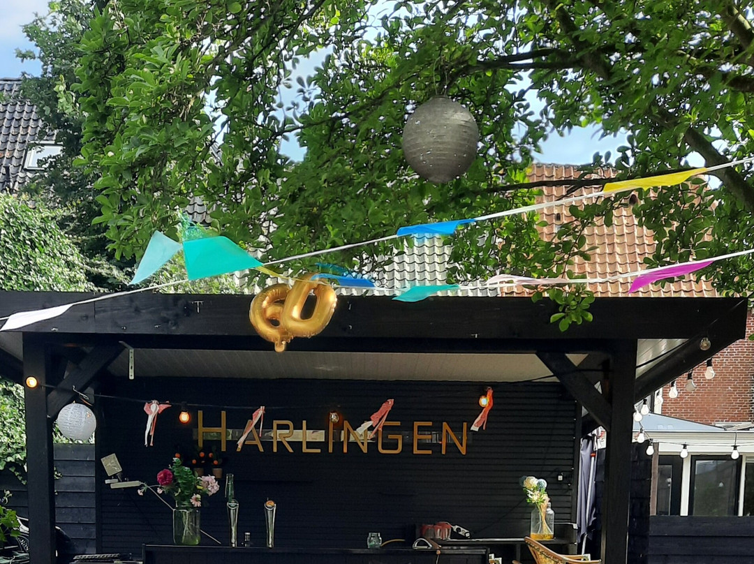 Art Hotel Harlingen主图