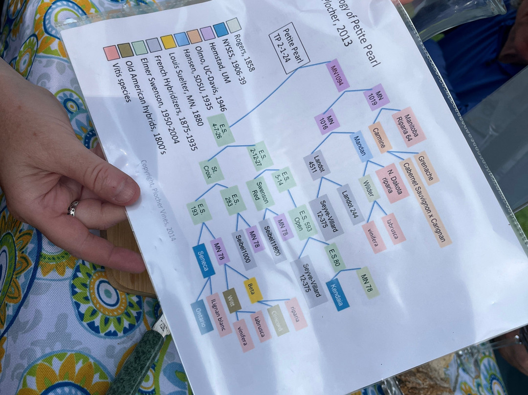 Montpelier Vineyards-蒙彼利埃必去景点