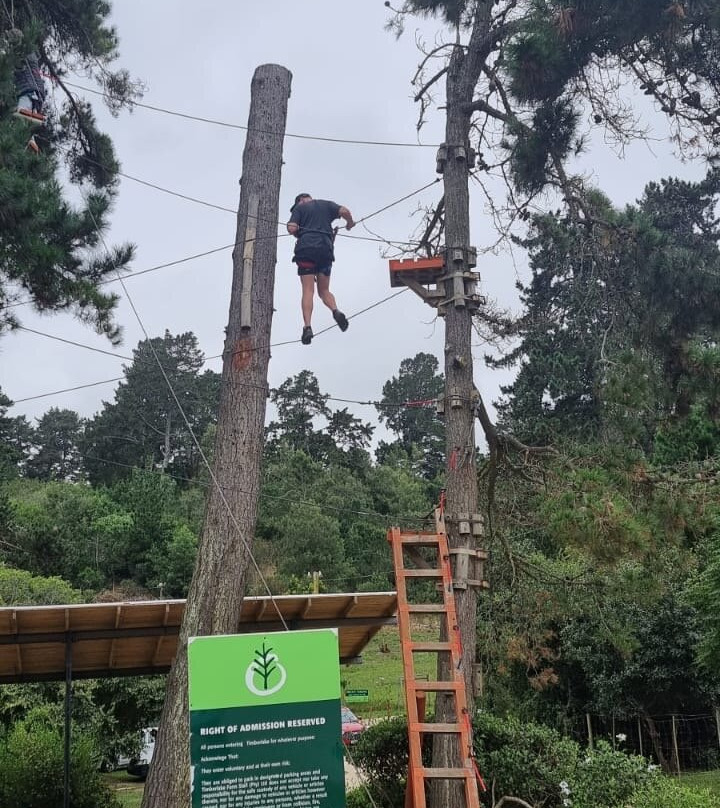 Acrobranch Garden Route-荒野必去景点
