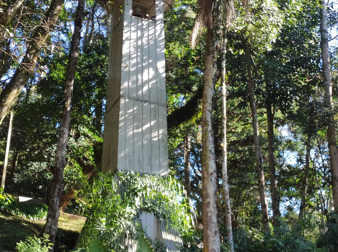 Gruta Natural-Antônio Prado必去景点