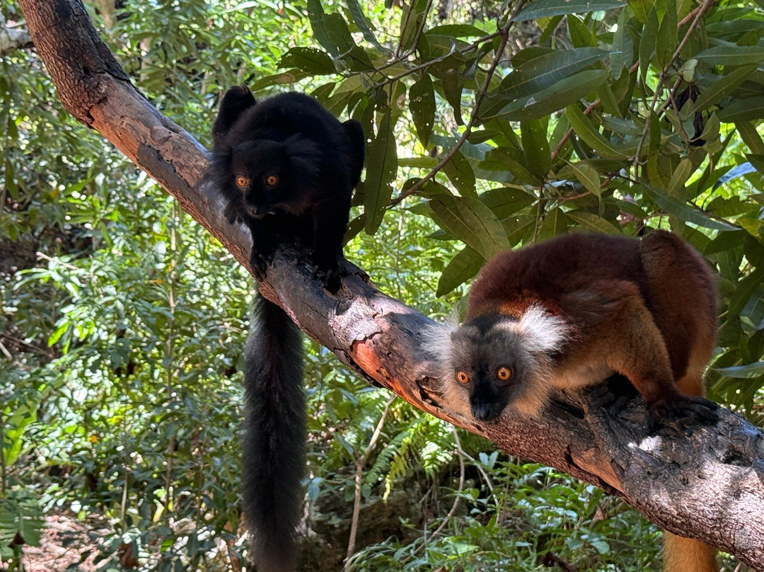 Soul of Madagascar Tours-Toamasina (Tamatave)必去景点